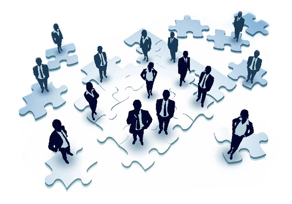Consulting Council